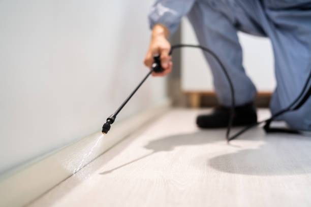 Rodent Entry Point Assessment in Porterville