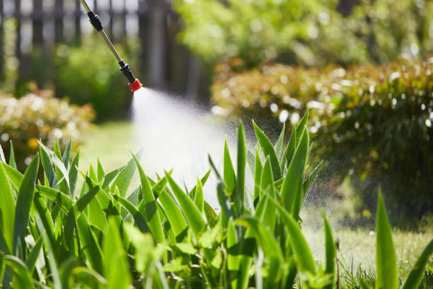 Tamper-Resistant Bait Stations for Rodents in Porterville