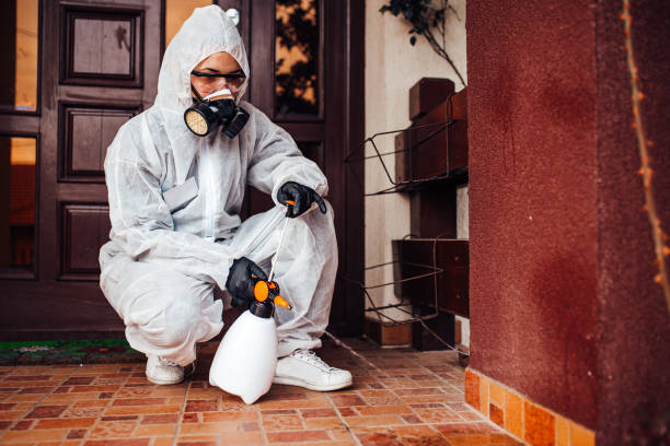 Attic and Crawl Space Rodent Treatment in Porterville