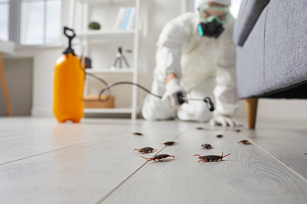 Commercial Rodent Management in Porterville